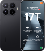17t
